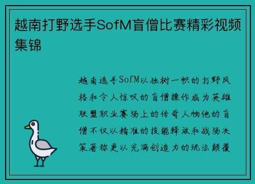 越南打野选手SofM盲僧比赛精彩视频集锦